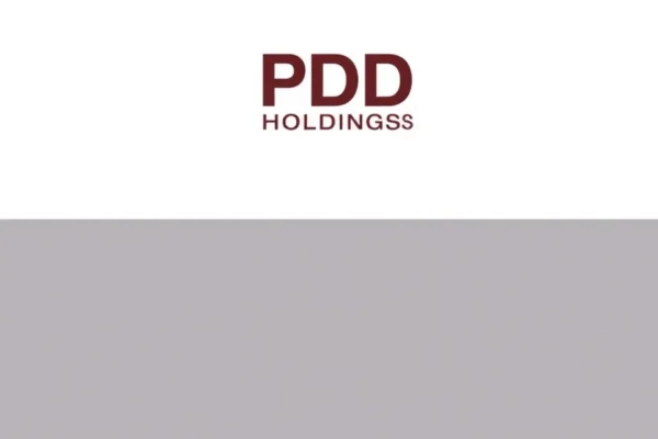 Ft. pdd holdings profit fall
