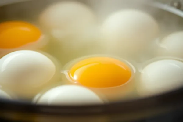 Pasteurized Eggs at Home? The Salmonella Test 1 Ft. sous vide salmonella eggs